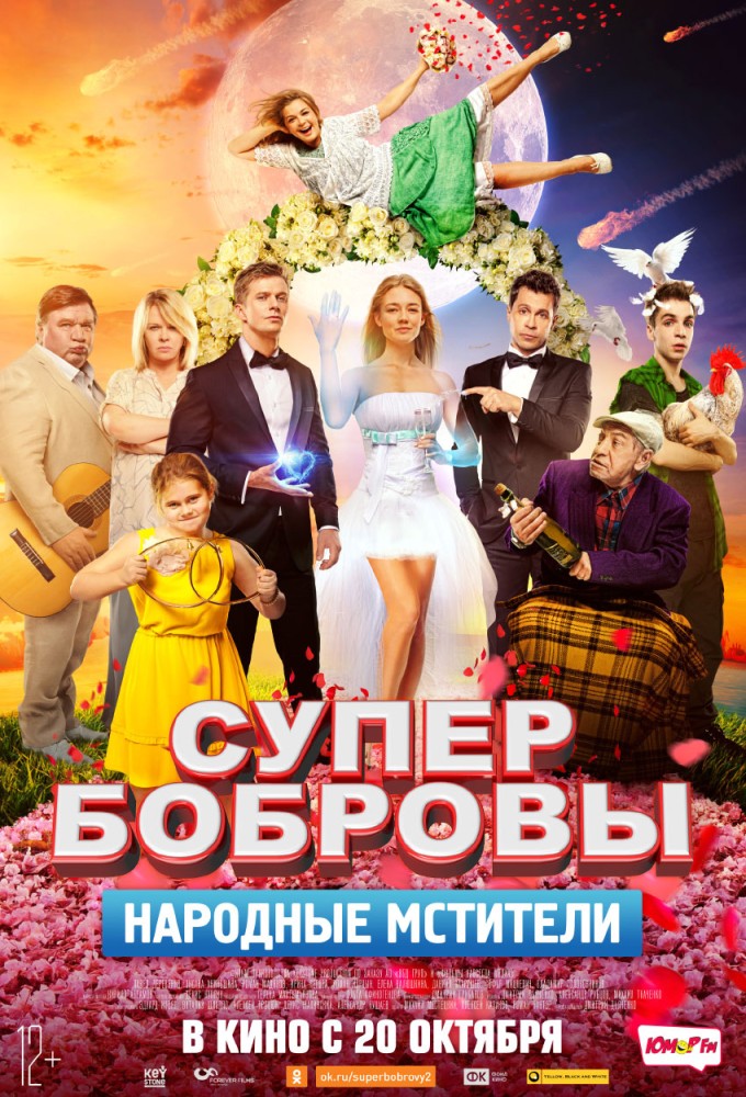 СуперБобровы: народные мстители