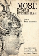 Мозг. Вторая вселенная
